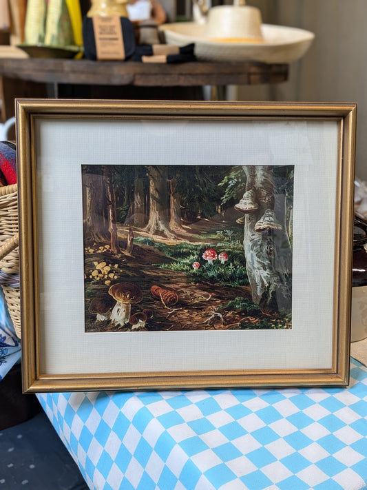 Mushroom Framed Print