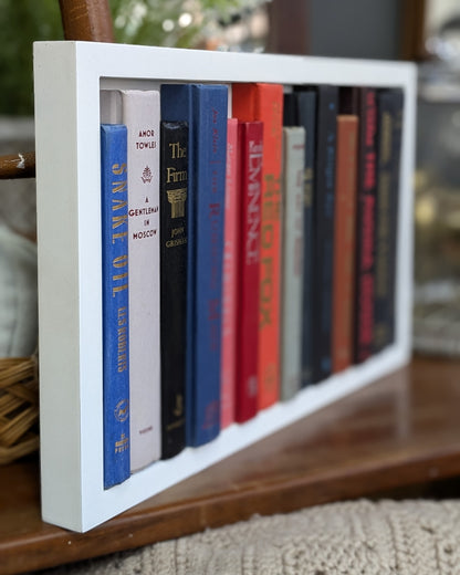 Wall bookcase Art - Spy