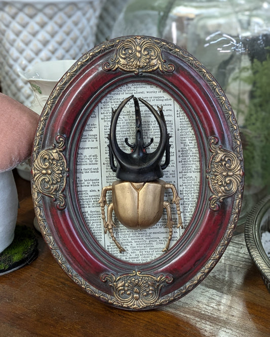 Faux bug wall art oval frame