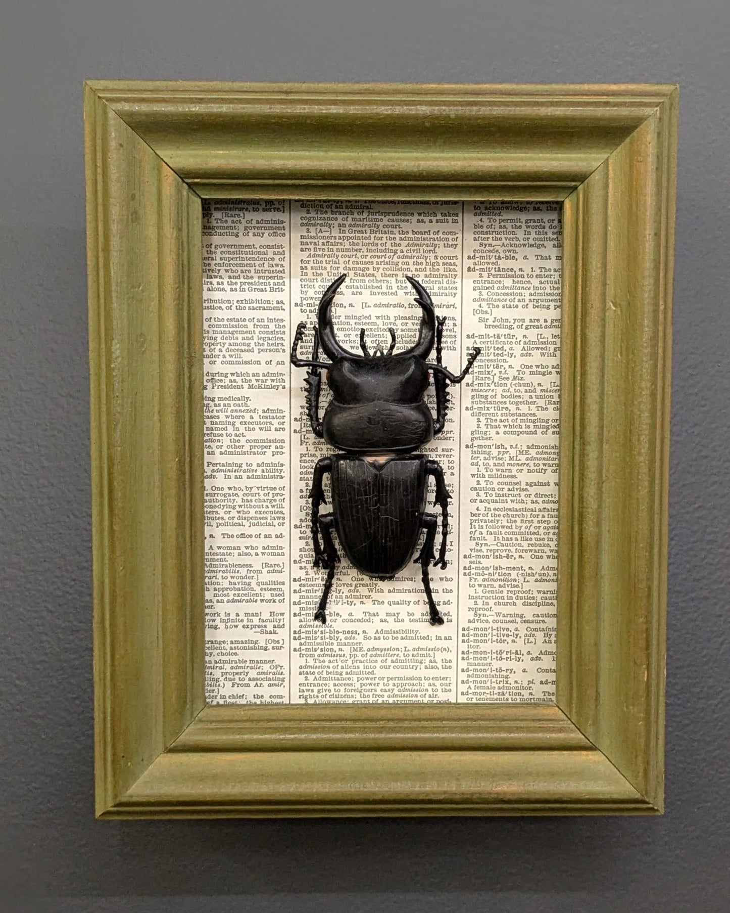 Faux bug wall art green shadow box