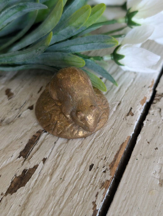 Small Brass Beaver