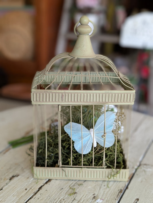 tan Bird Cage