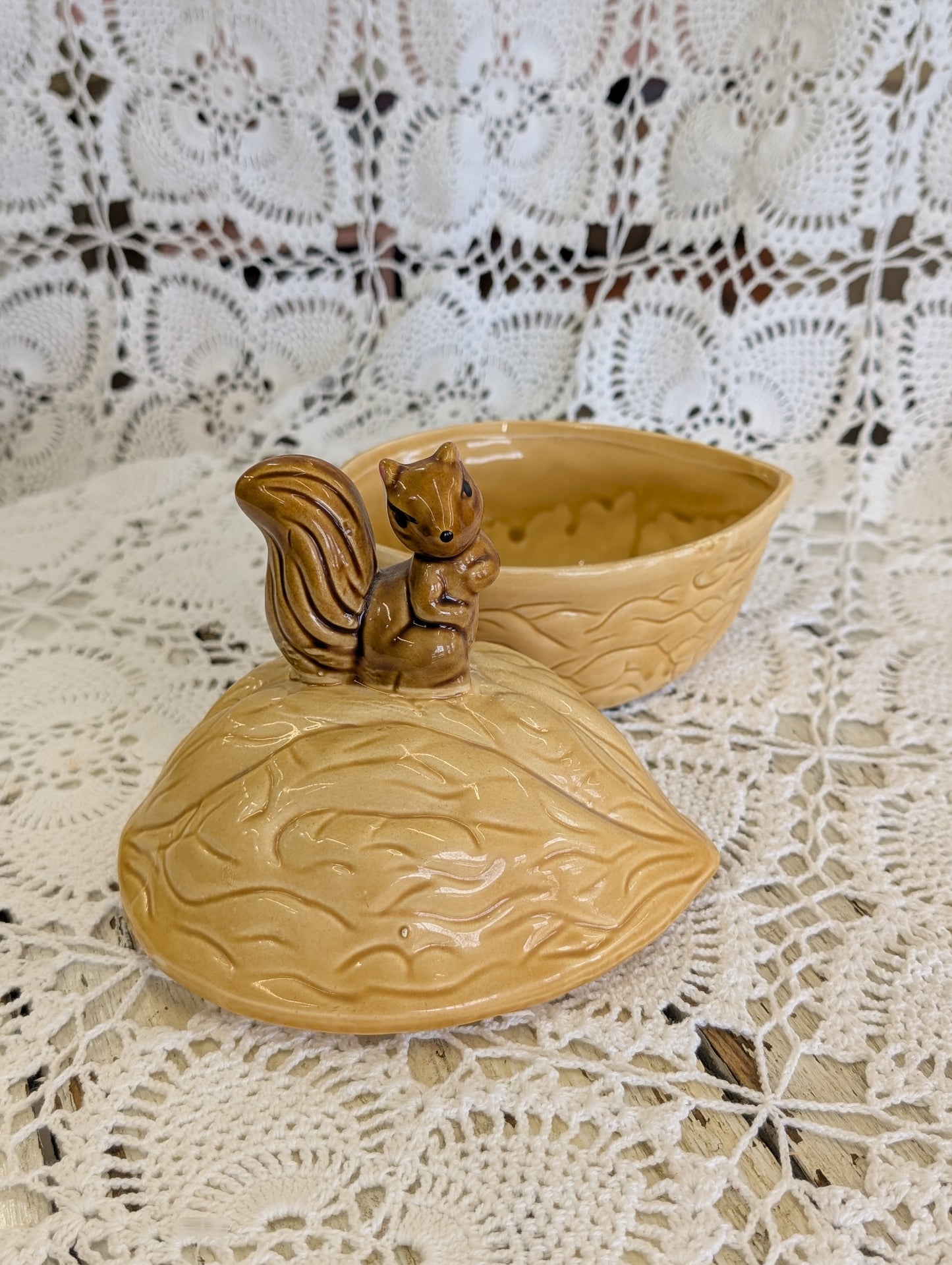 Squirrel on Acorn container