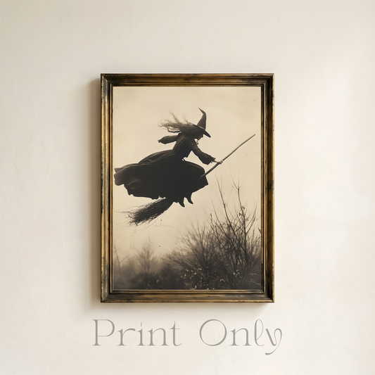 Witch On Broom Print