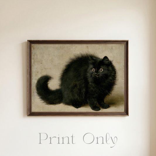Fluffy Kitty Print