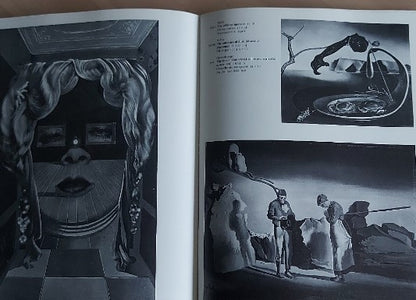 Salvador Dali book