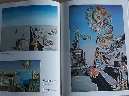 Salvador Dali book