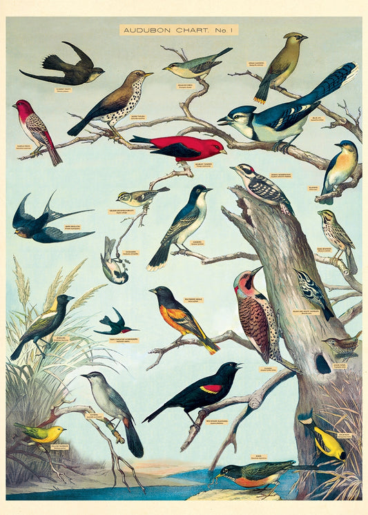 Vintage Audubon Birds Wrap