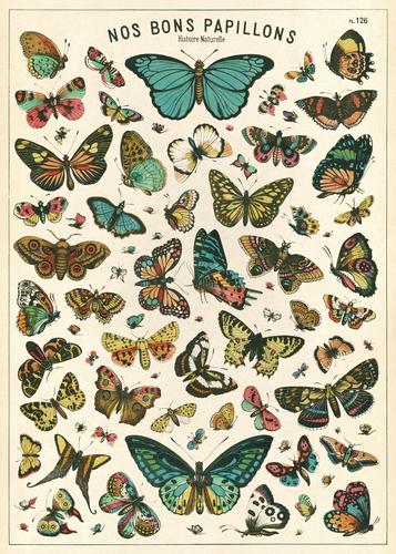 Butterfly Chart Wrap