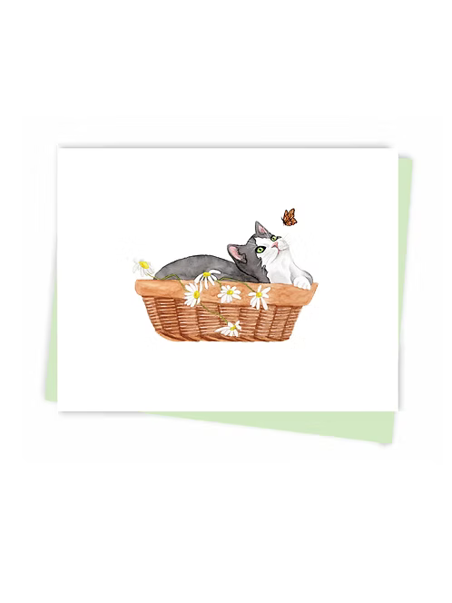Cat in a basket