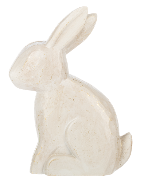 Distressed White Rabbit