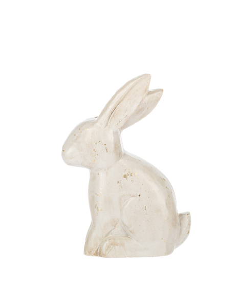 Distressed White Rabbit