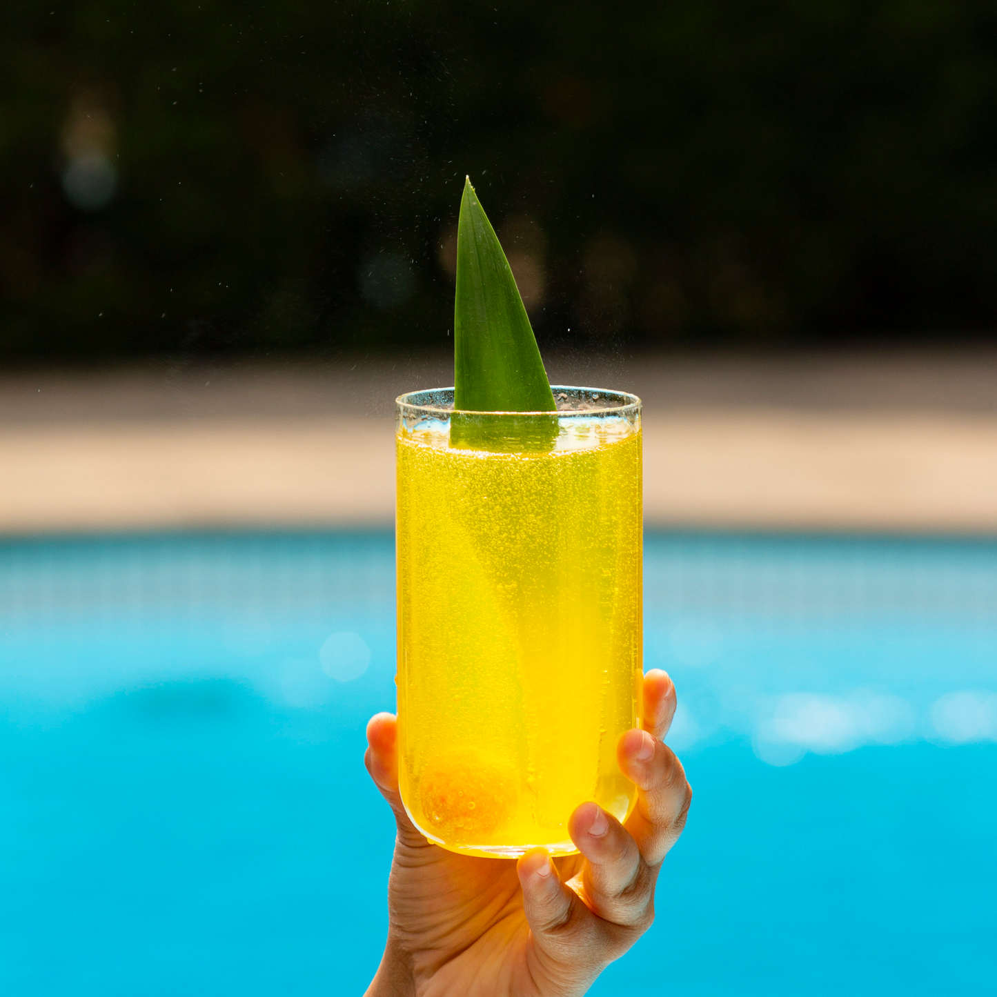 PIÑA COLADA (2 PACK)