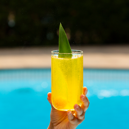 PIÑA COLADA (2 PACK)
