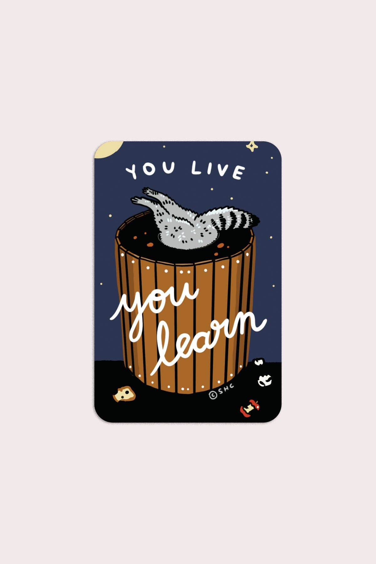 You Live You Learn Vinyl Sticker