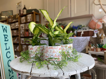 Tropical Plant, assorted 4"