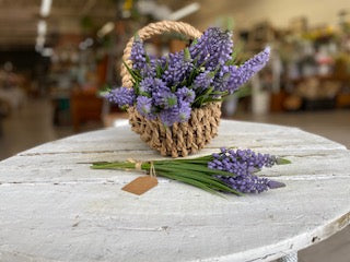Lavender Muscari Bundle