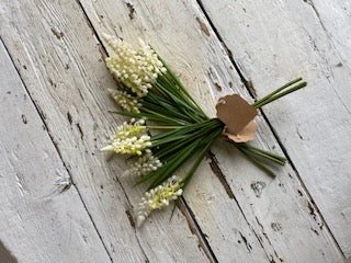 White Muscari Bundle