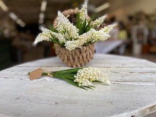 White Muscari Bundle