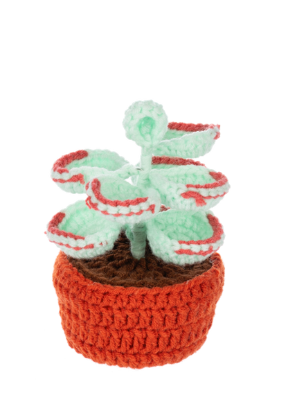 Crochet Succulent Plant Figurine