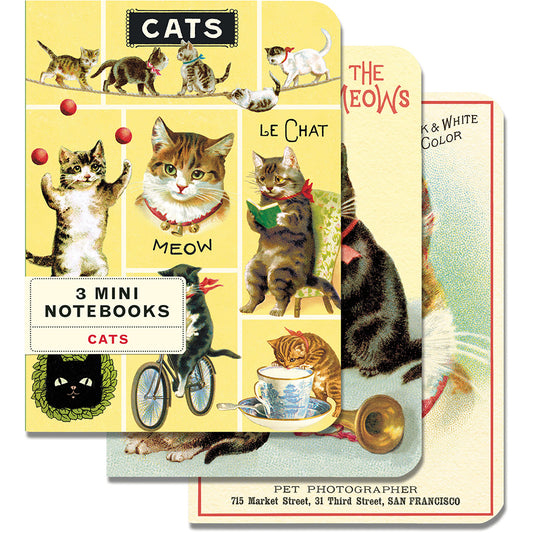 Cats Watching 3 Mini Notebook
