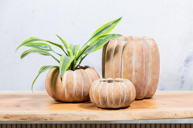 Small Pumpkin Planter