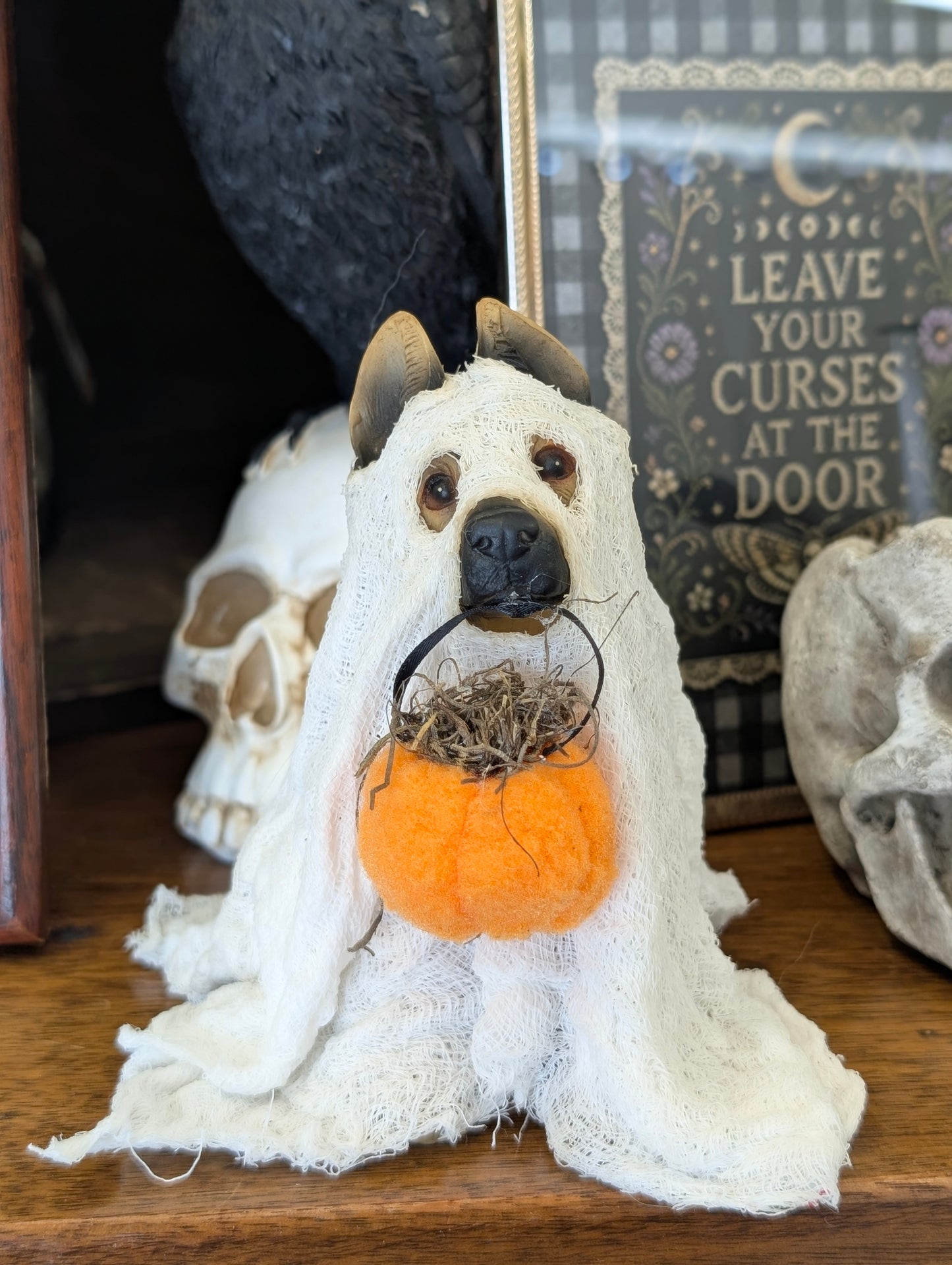 Ghost dog