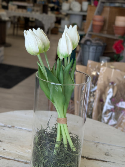 10" Fresh wild White Tulips