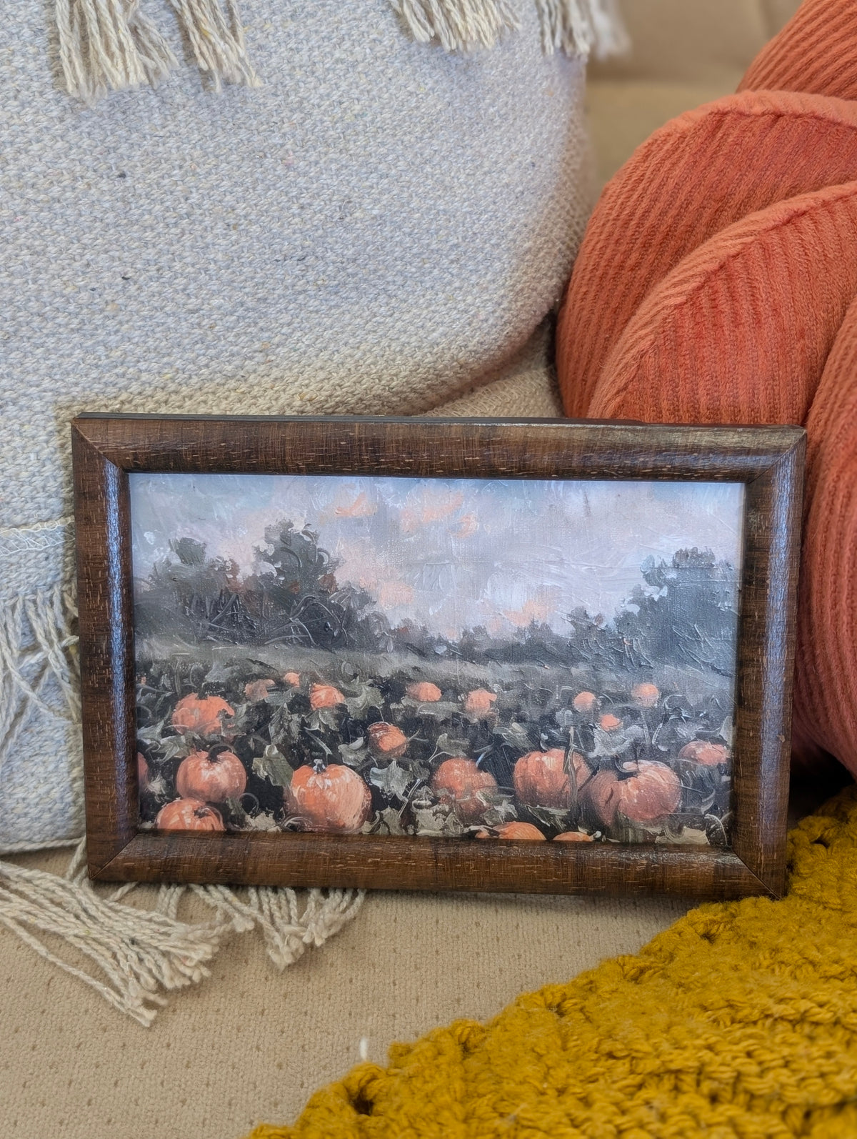 Mini pumpkin field 4 x 6