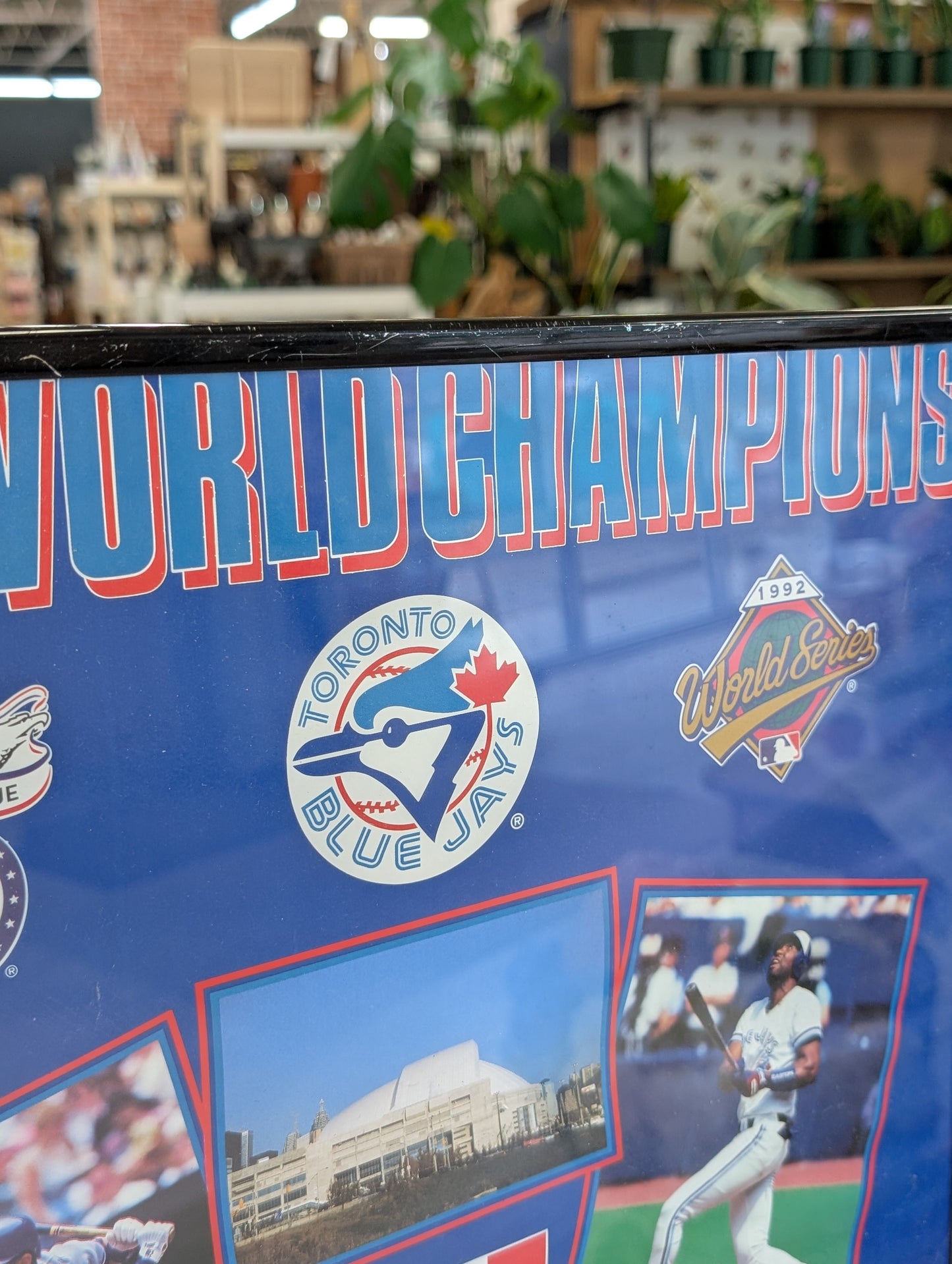 Blue Jays Poster