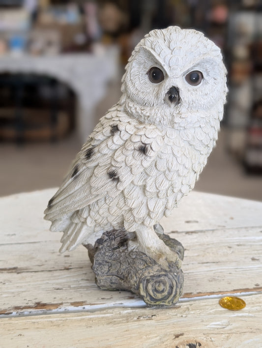 Acrylic owl