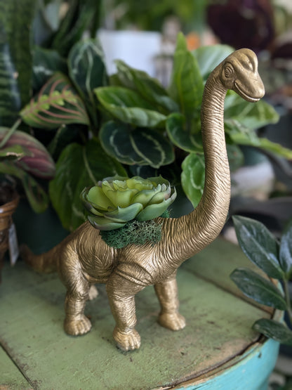 Faux succulent in Brontosaurus