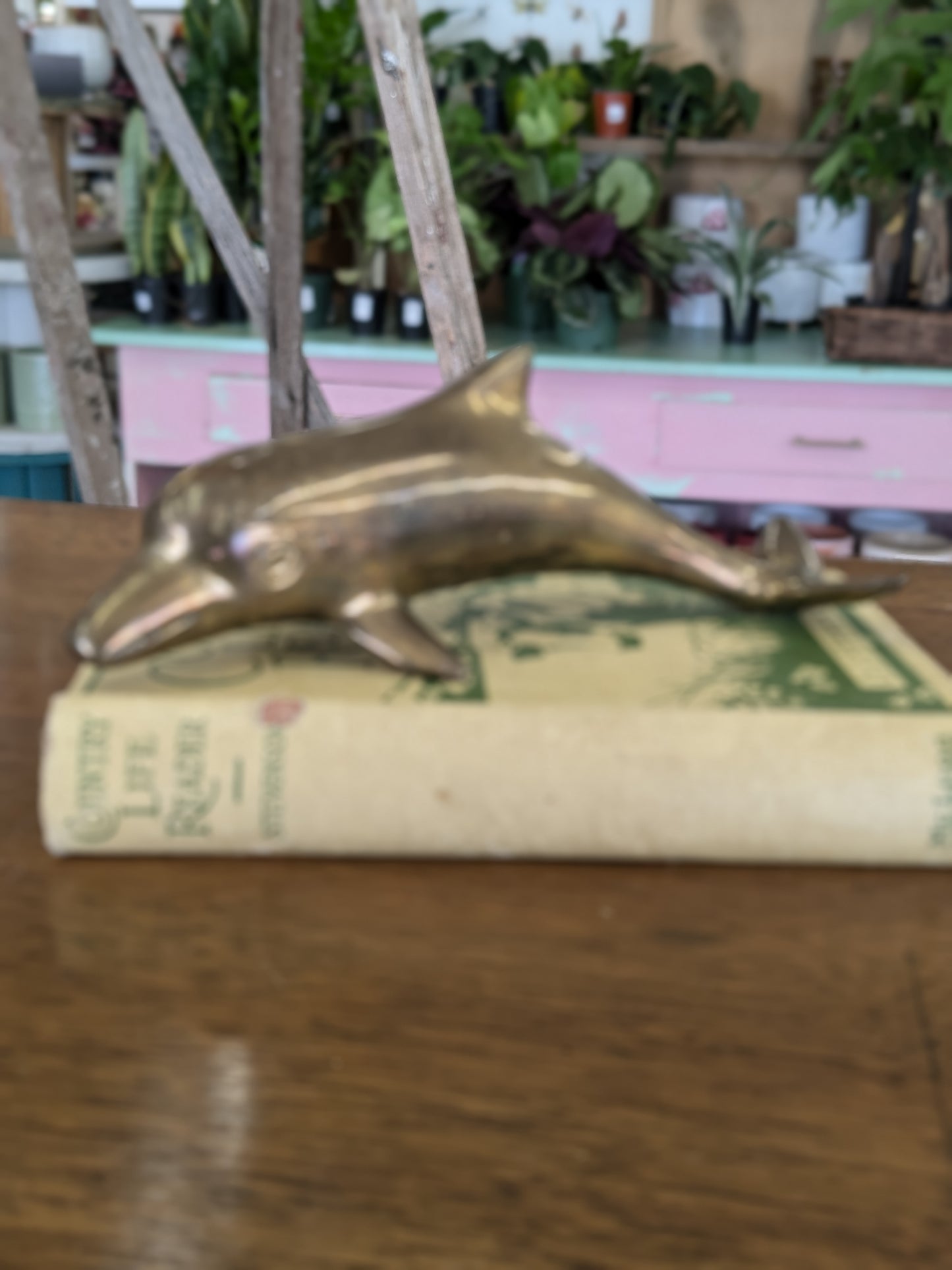 Brass Dolphin