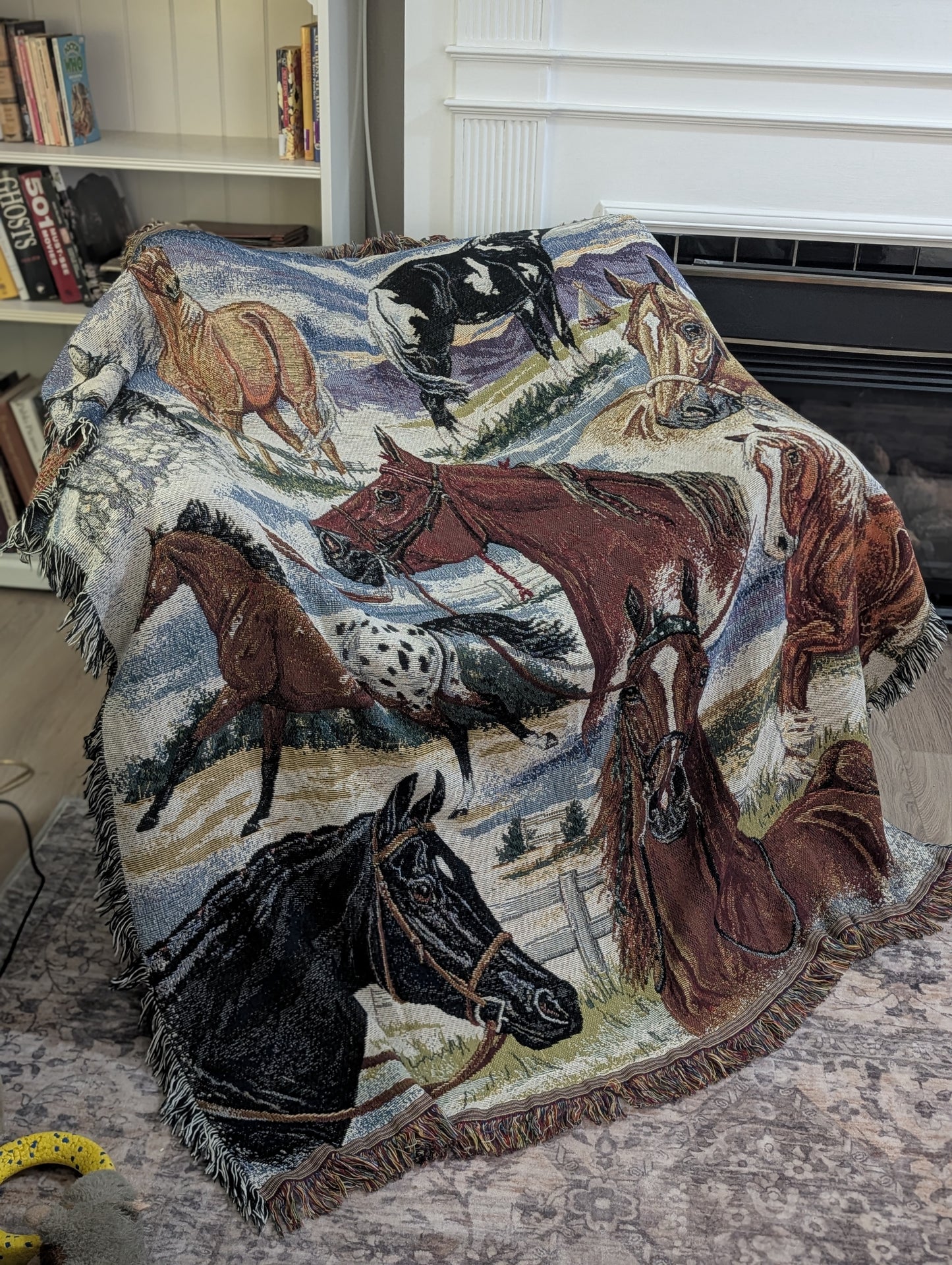 Horse blanket