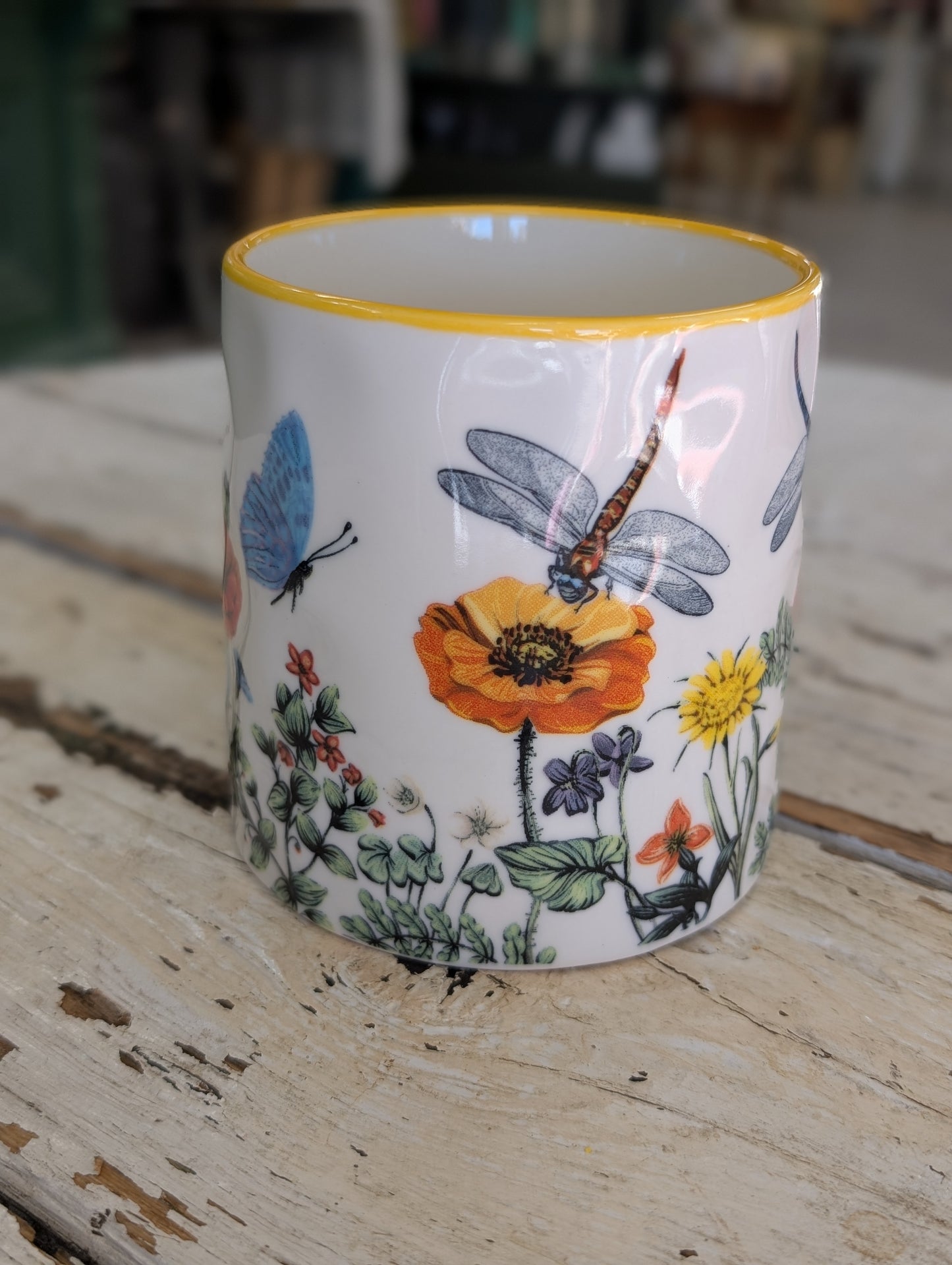 Butterfly and dragon fly mug