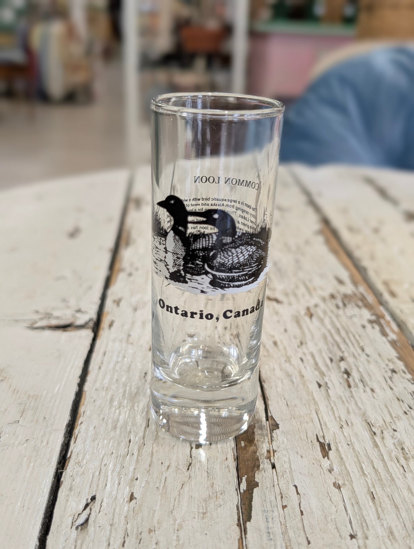 Loon shot glass