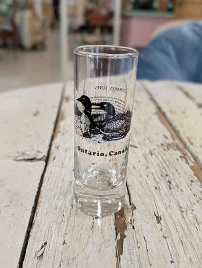Loon shot glass