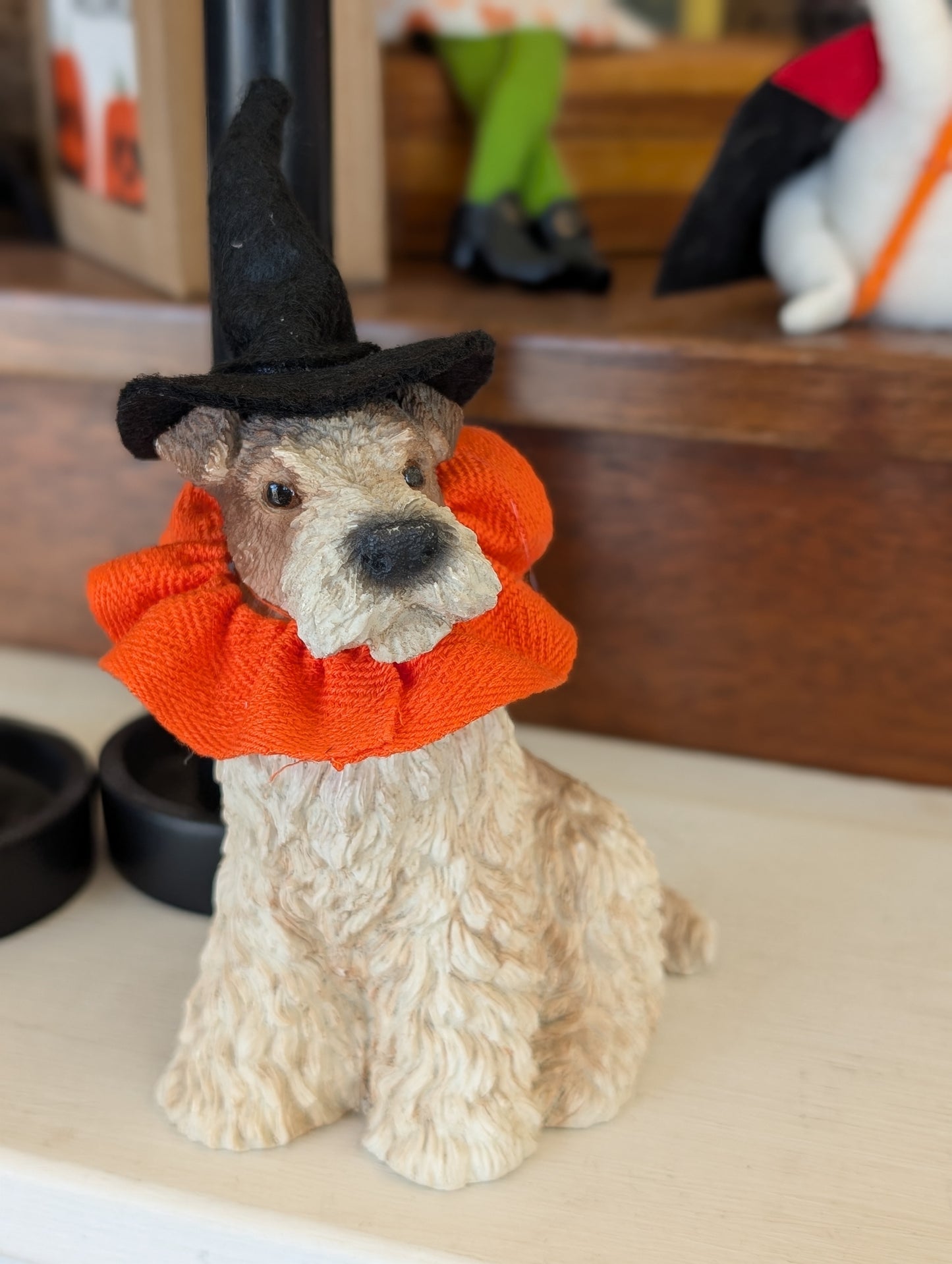 Halloween party dog