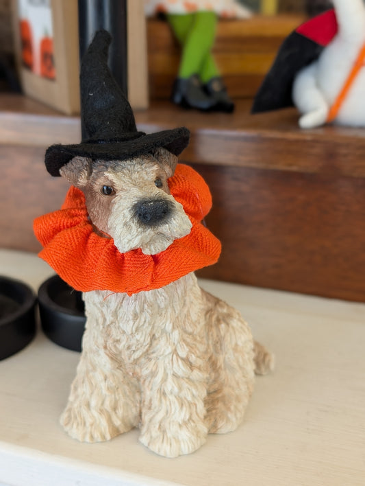 Halloween party dog