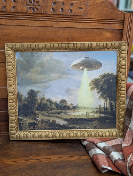 Spaceship in field print