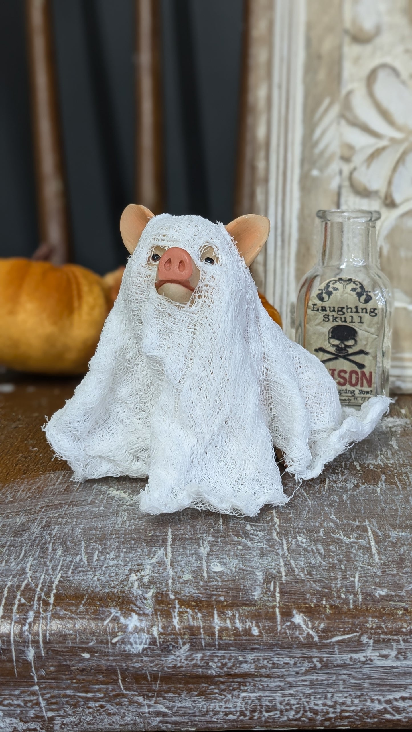 Levi the Ghost pig