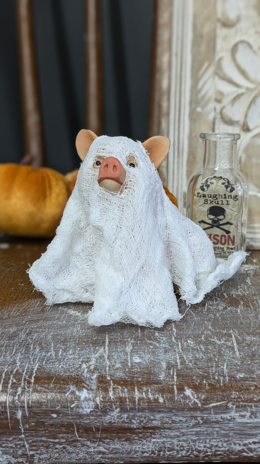 Levi the Ghost pig