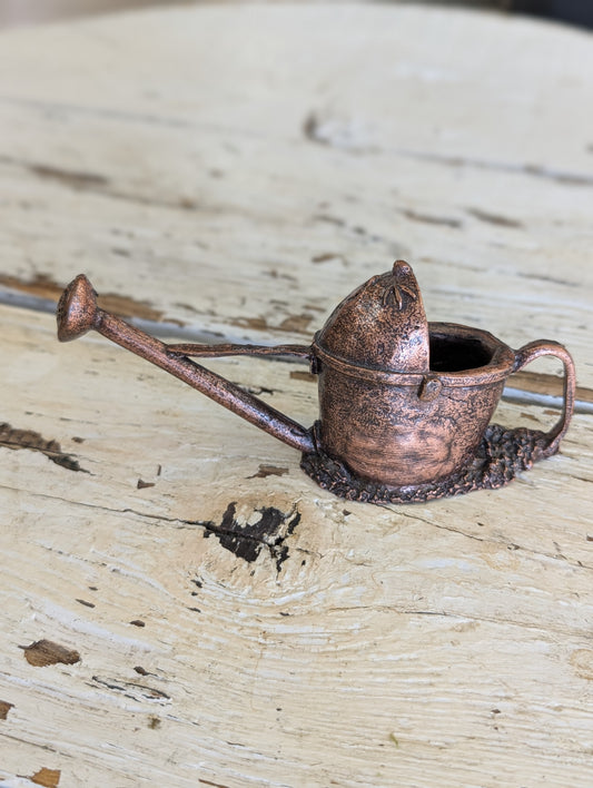Small trinket watering can