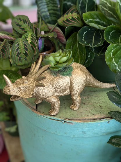 Faux succulent in Styracosaurus