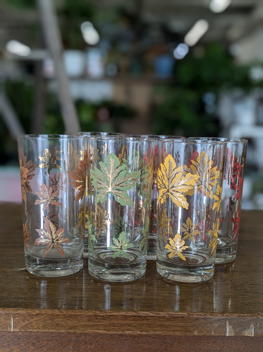 Set of 6 glasses