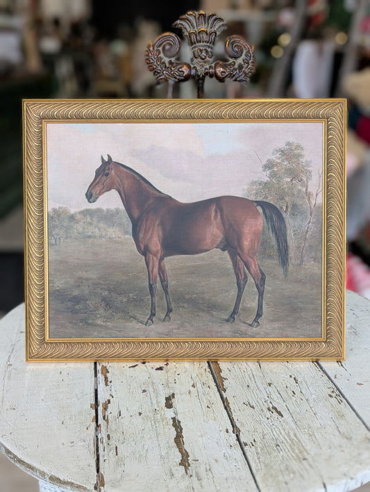 Horse framed print