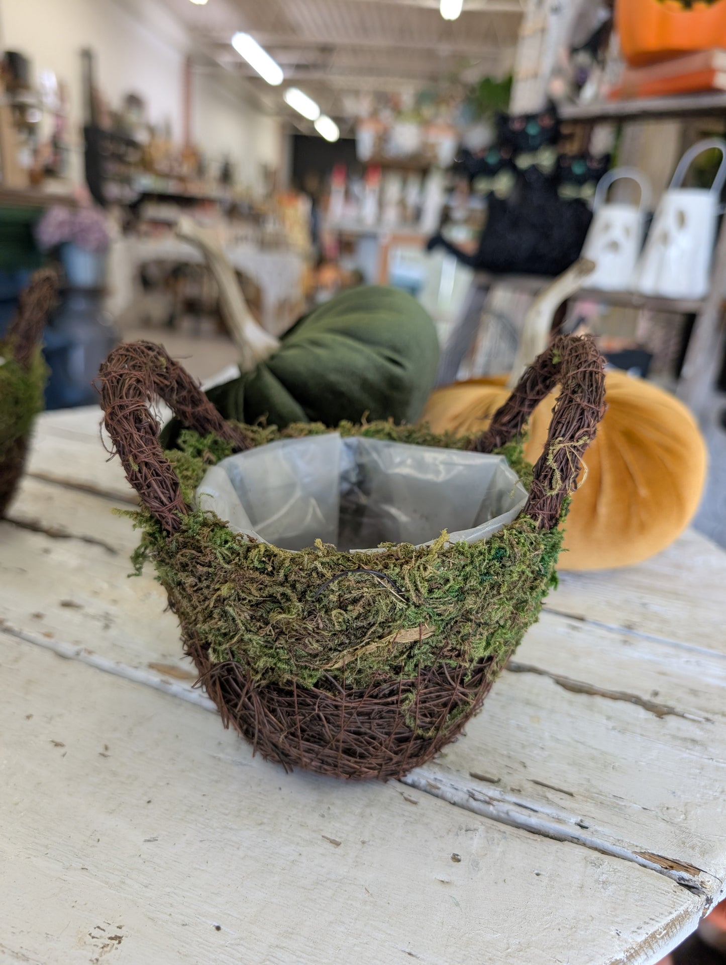 Small woodland basket