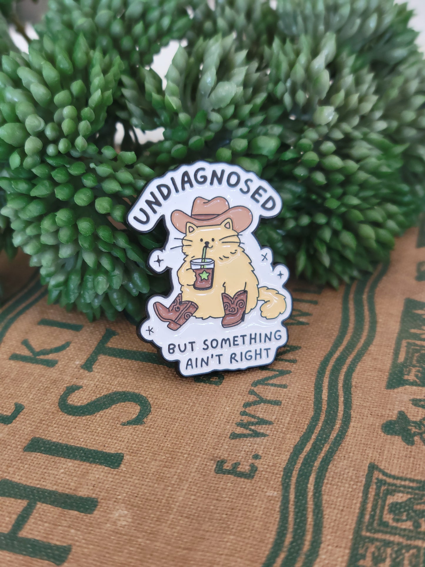 Undiagnosed Pin
