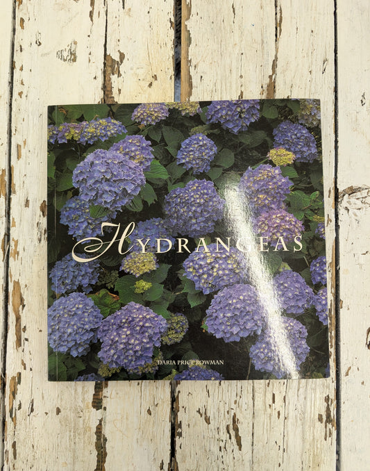 Hydrangea's