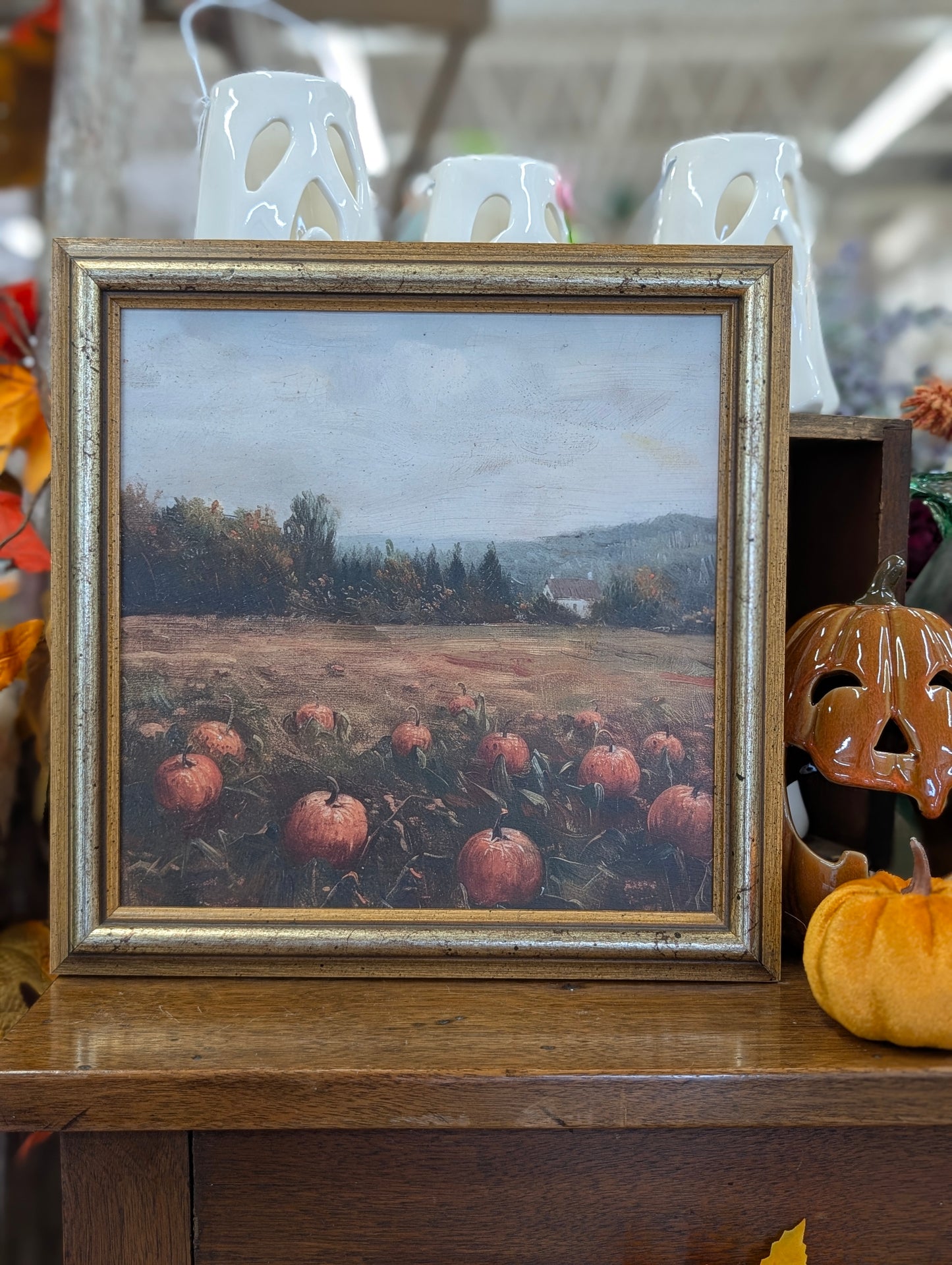 Pumpkin field framed print